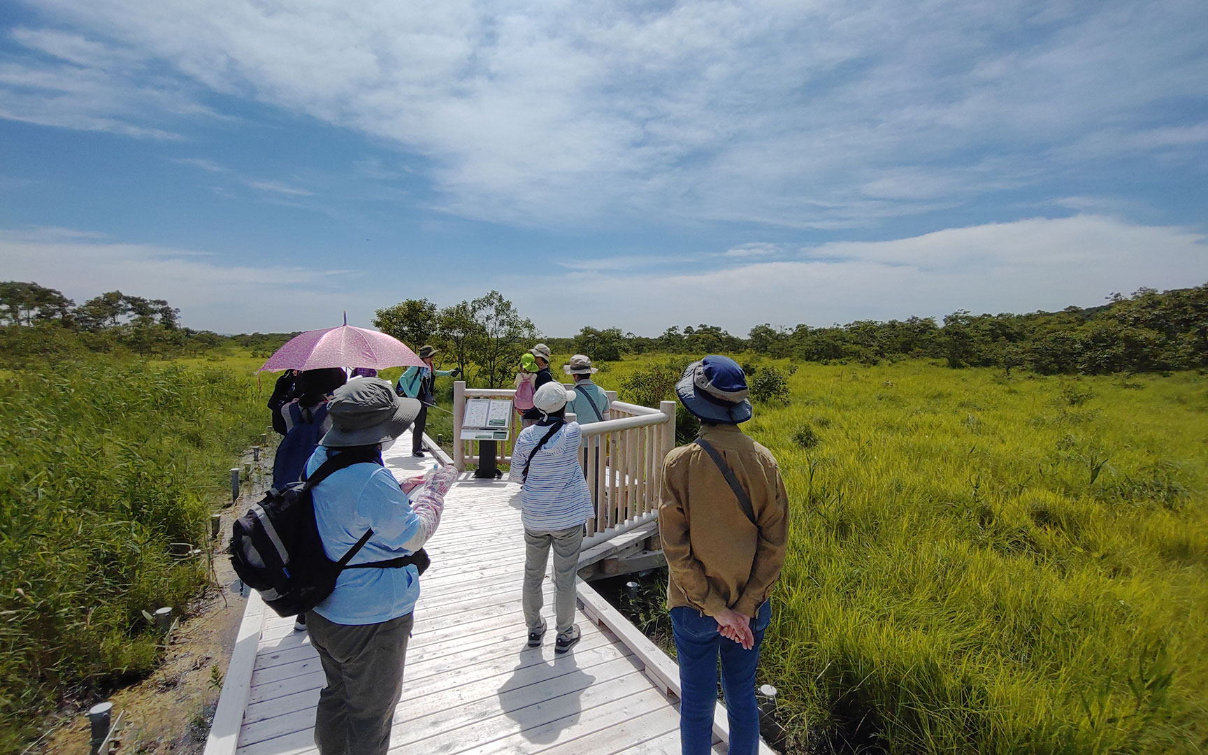 釧路湿原の木道で植生についての説明を聞く参加者